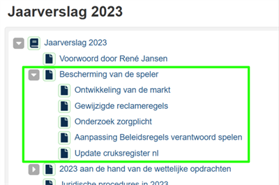 Voorbeeld structuur Kansspelautoriteit